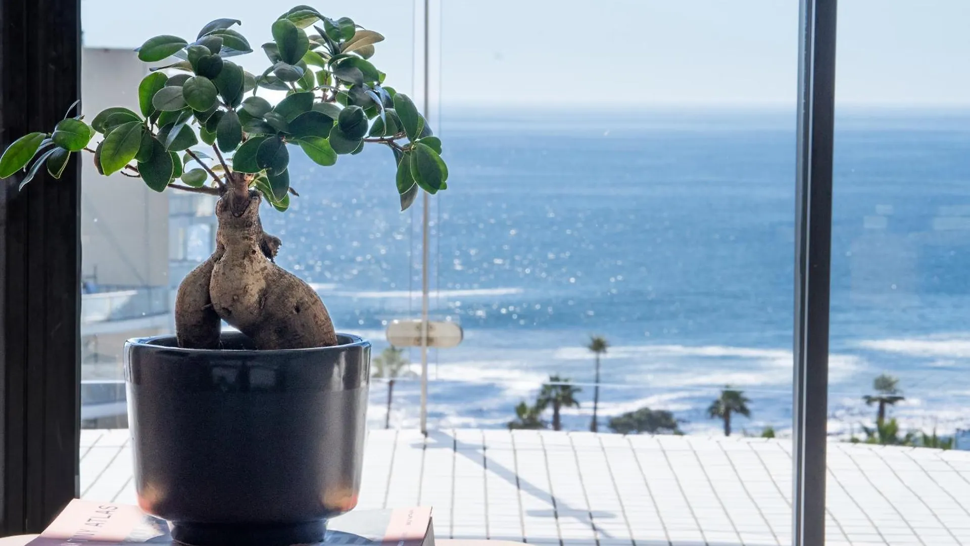 President Hotel Città del Capo Sudafrica